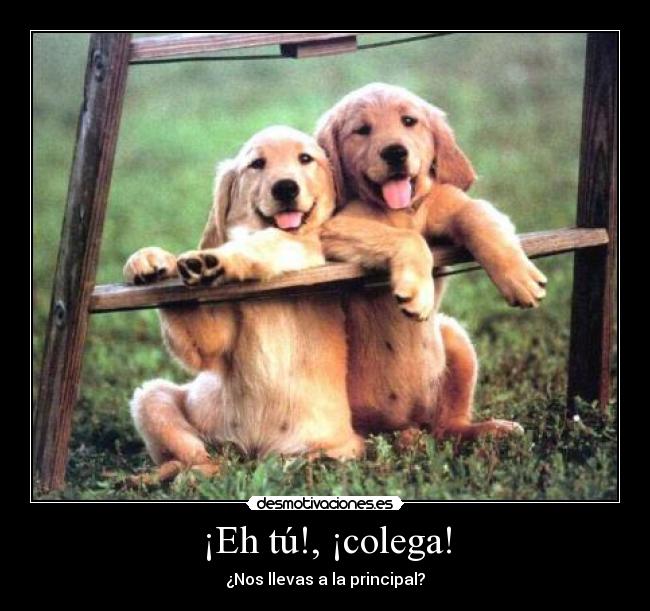 ¡Eh tú!, ¡colega! - ¿Nos llevas a la principal?