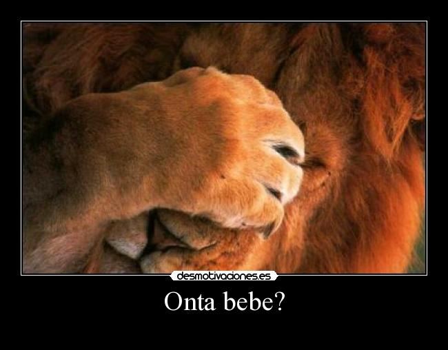 Onta bebe? - 