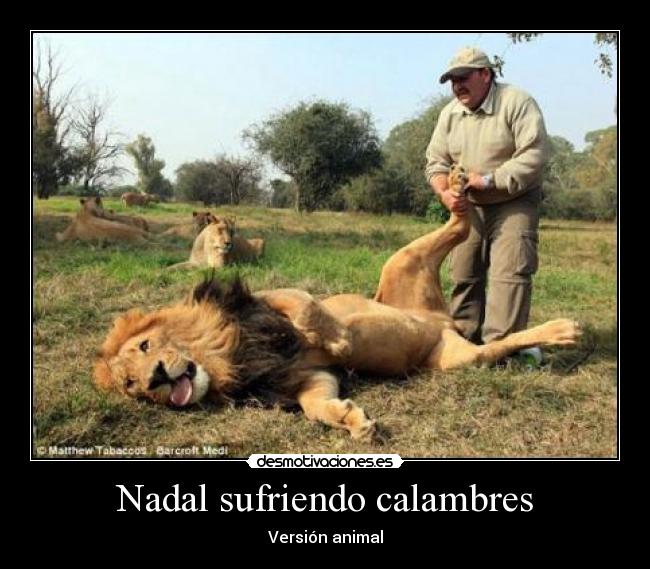 Nadal sufriendo calambres - Versión animal