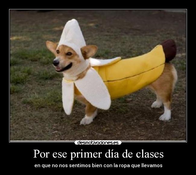 carteles primer dia clase perro banan disfraz desmotivaciones