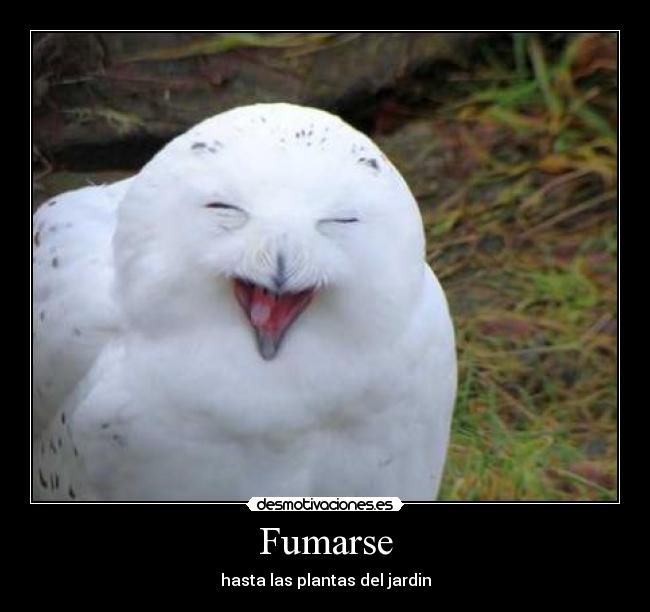Fumarse -