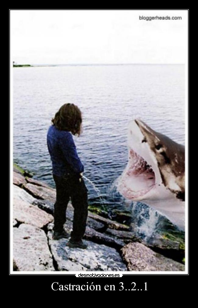 Castración en 3..2..1 -