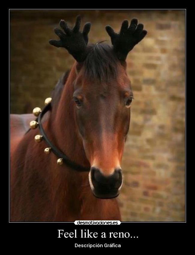 Feel like a reno... - Descripción Gráfica