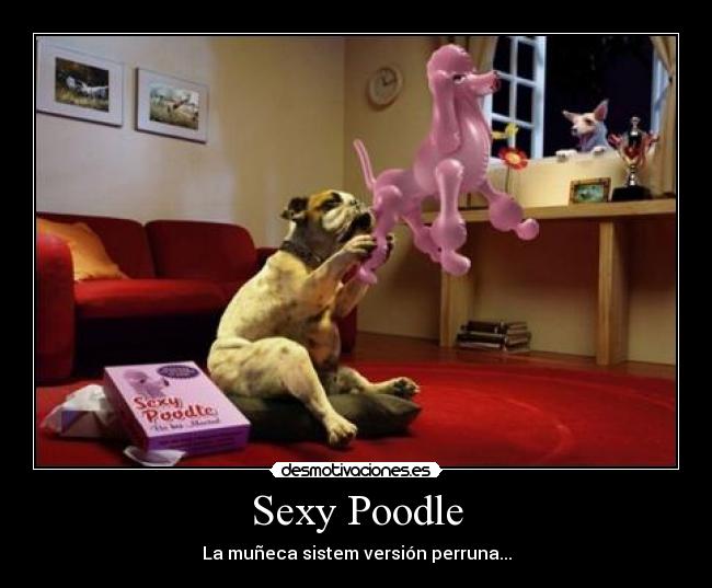 Sexy Poodle - La muñeca sistem versión perruna...