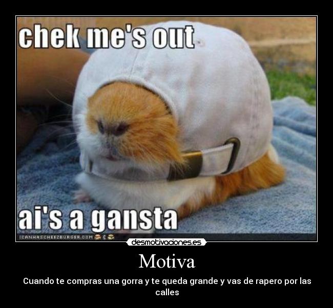 Motiva - Cuando te compras una gorra y te queda grande y vas de rapero por las calles