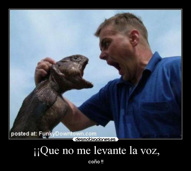 ¡¡Que no me levante la voz, -