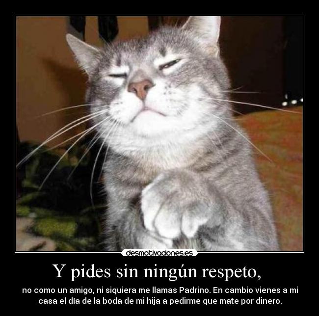 Y pides sin ningún respeto,  - no como un amigo, ni siquiera me llamas Padrino. En cambio vienes a mi
casa el día de la boda de mi hija a pedirme que mate por dinero.