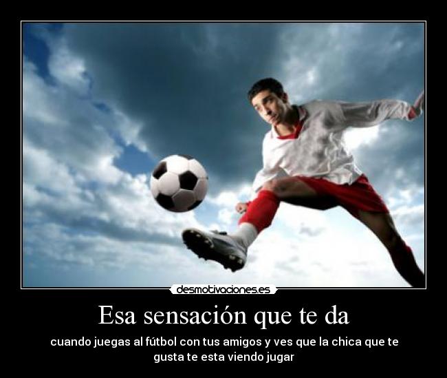 carteles megachema desmotivaciones