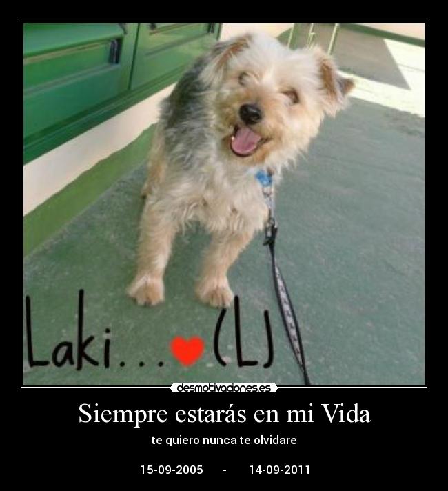 Siempre estarás en mi Vida - te quiero nunca te olvidare
15-09-2005 - 14-09-2011