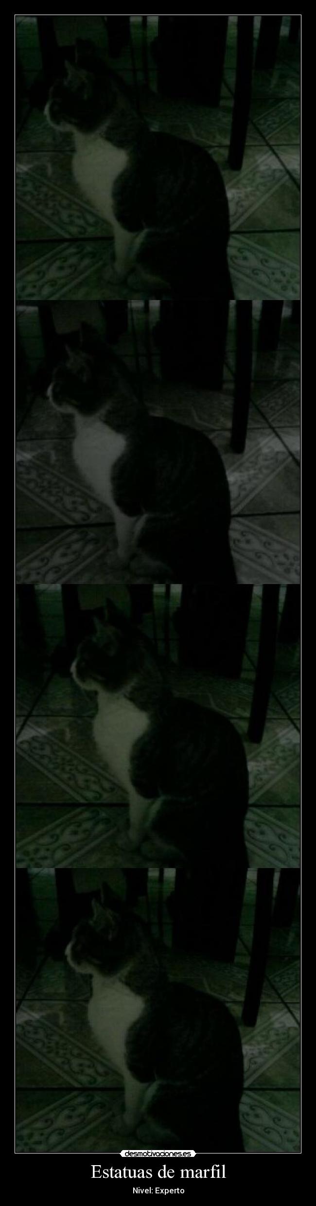 Estatuas de marfil -