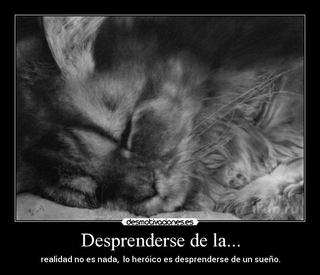 carteles heroico desprenderse sueno desmotivaciones