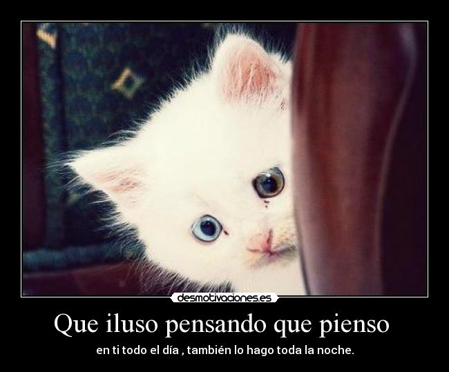 Que iluso pensando que pienso  - en ti todo el día , también lo hago toda la noche.