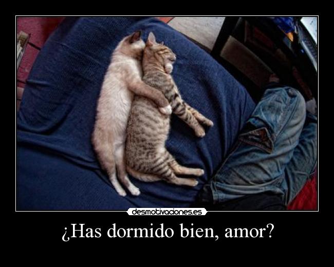 ¿Has dormido bien, amor? -
