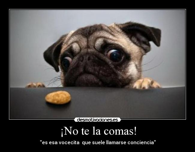 ¡No te la comas! - es esa vocecita  que suele llamarse conciencia