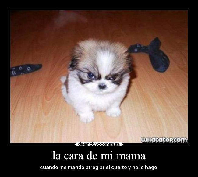 la cara de mi mama -