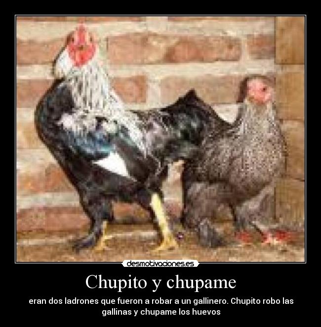 Chupito y chupame - eran dos ladrones que fueron a robar a un gallinero. Chupito robo las
gallinas y chupame los huevos