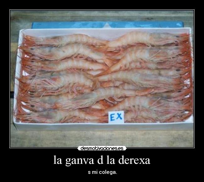 la ganva d la derexa -