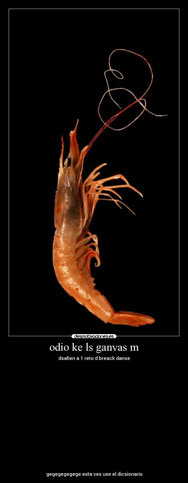 odio ke ls ganvas m -