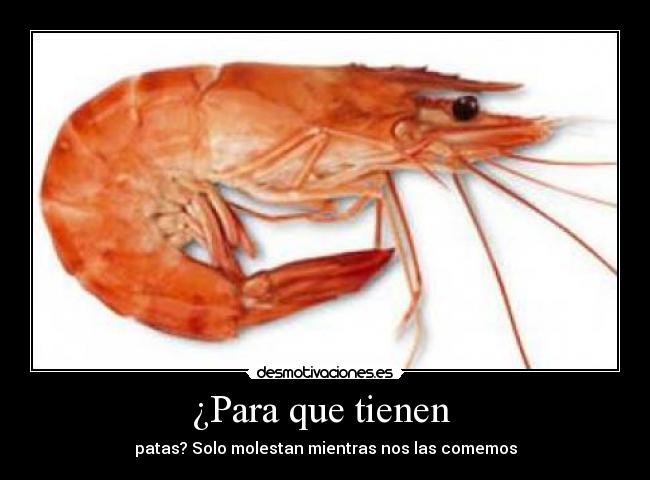 ¿Para que tienen  - 