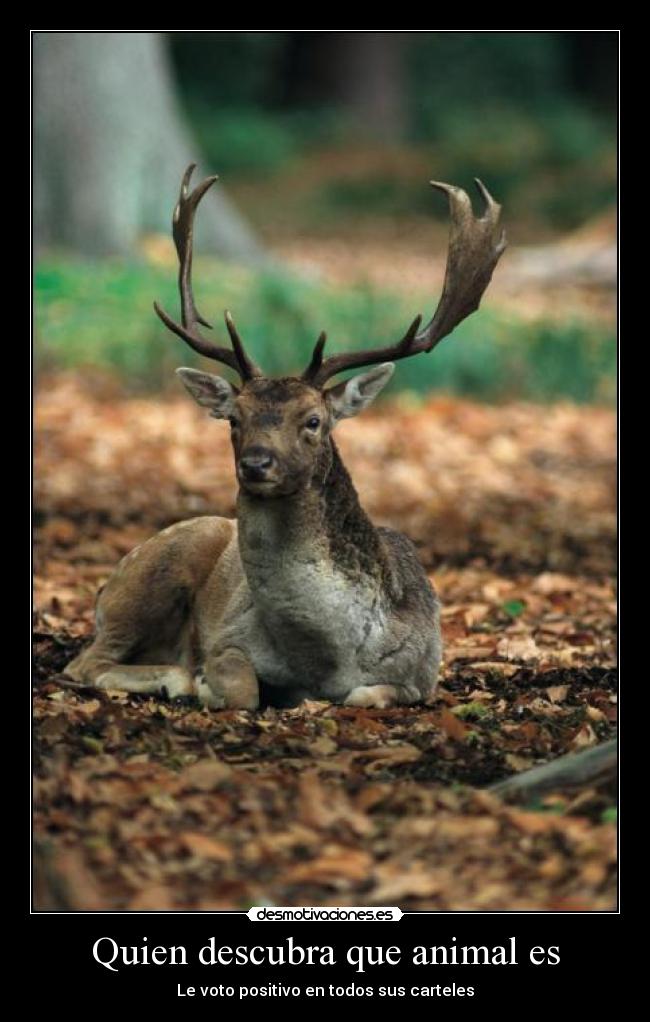 carteles neptun4 desmotivaciones