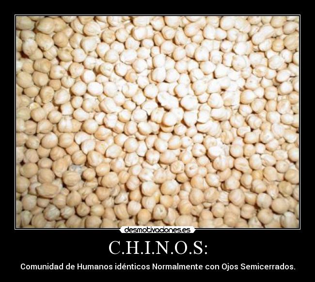 C.H.I.N.O.S: - Comunidad de Humanos idénticos Normalmente con Ojos Semicerrados.