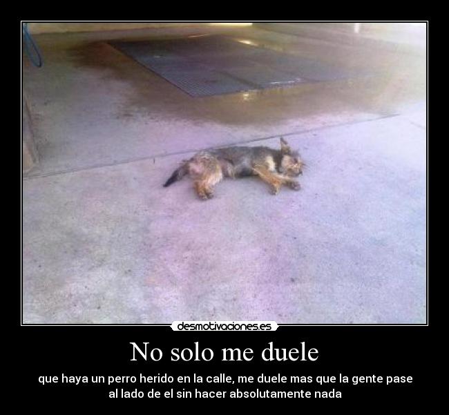 No solo me duele -