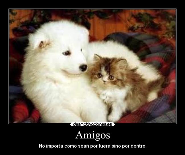 Amigos - No importa como sean por fuera sino por dentro.