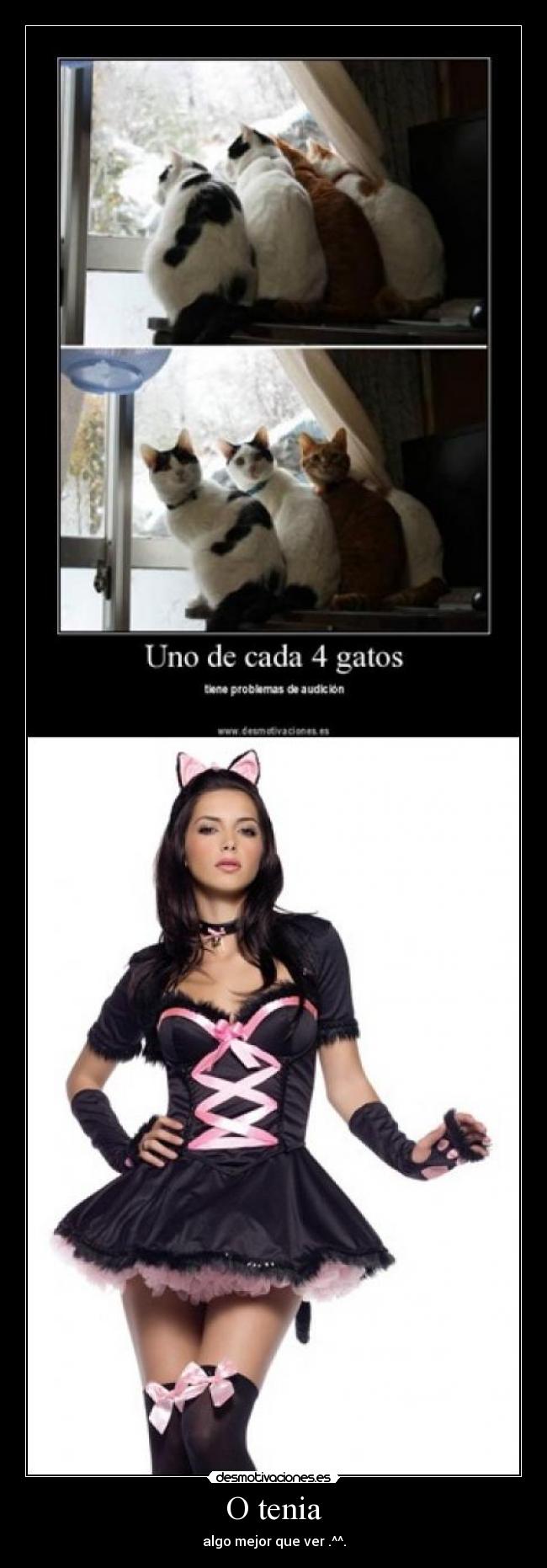 O tenia - algo mejor que ver .^^.