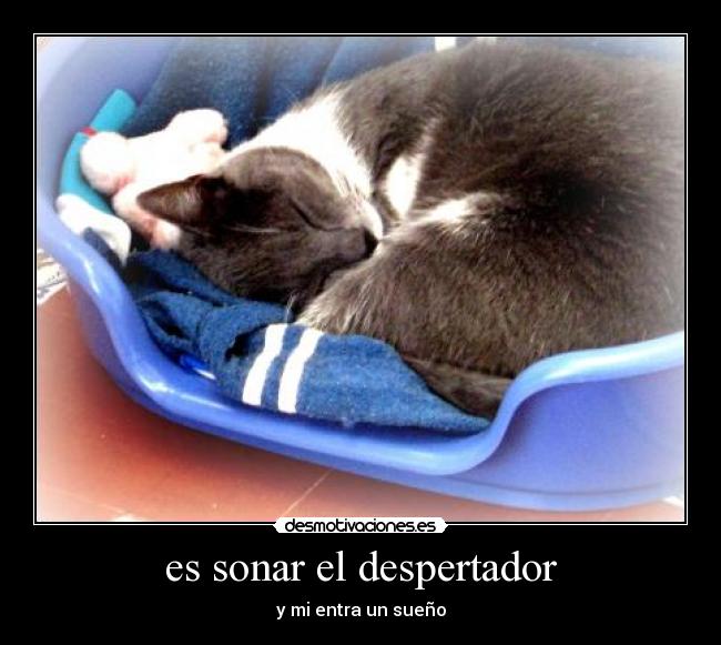 es sonar el despertador -