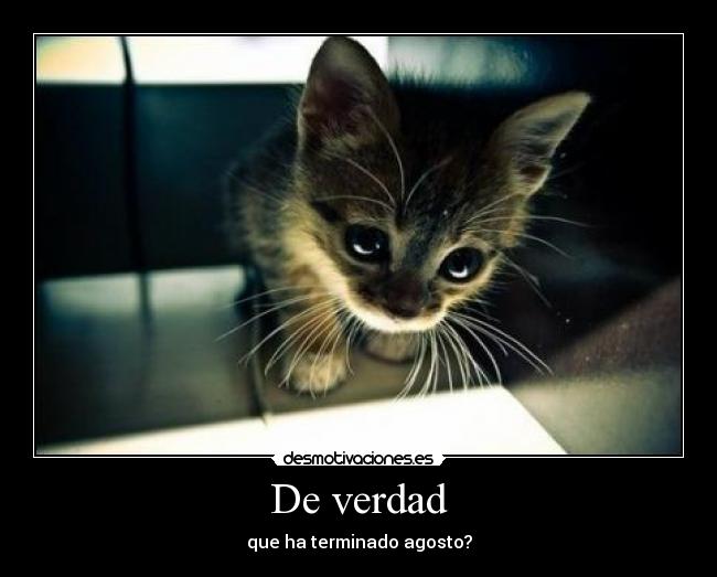 De verdad -