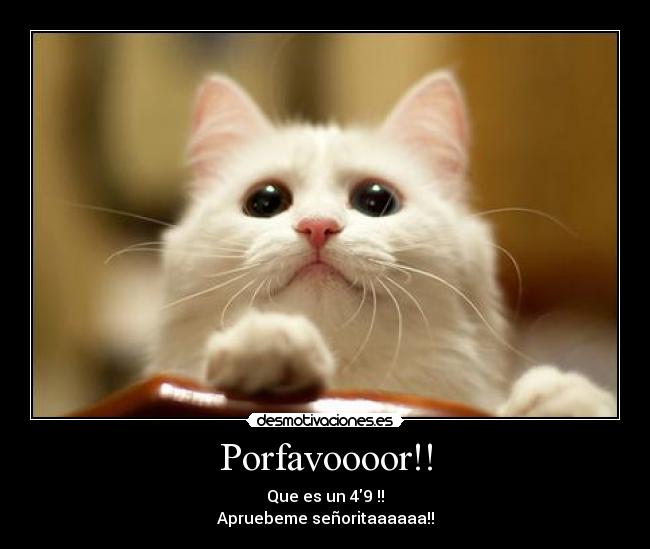 Porfavoooor!! - Que es un 49 !!
Apruebeme señoritaaaaaa!!
