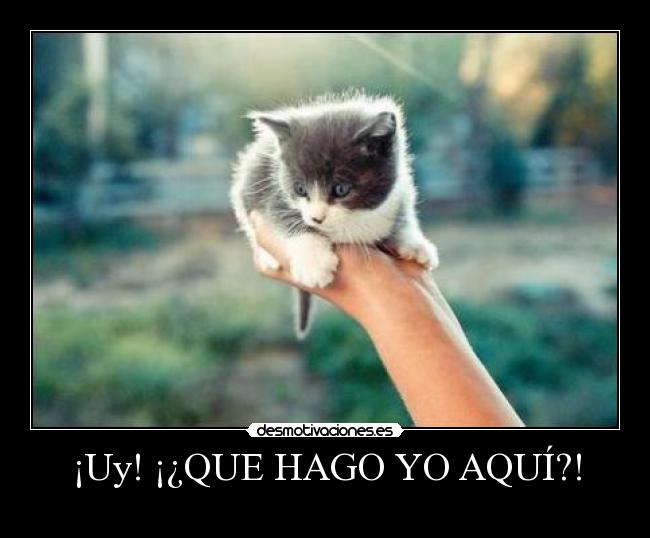 ¡Uy! ¡¿QUE HAGO YO AQUÍ?! -