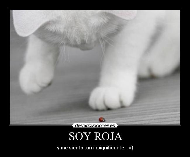 SOY ROJA - 