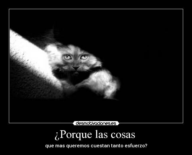 ¿Porque las cosas -
