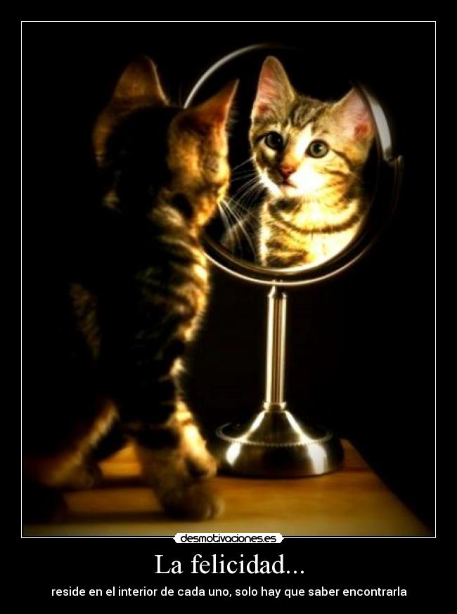 La felicidad... - 