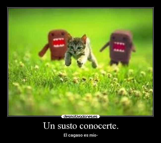 Un susto conocerte. -