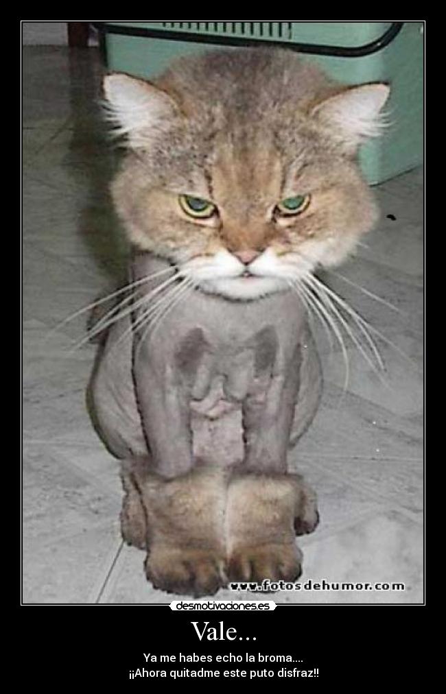 Vale... - Ya me habes echo la broma....
¡¡Ahora quitadme este puto disfraz!!