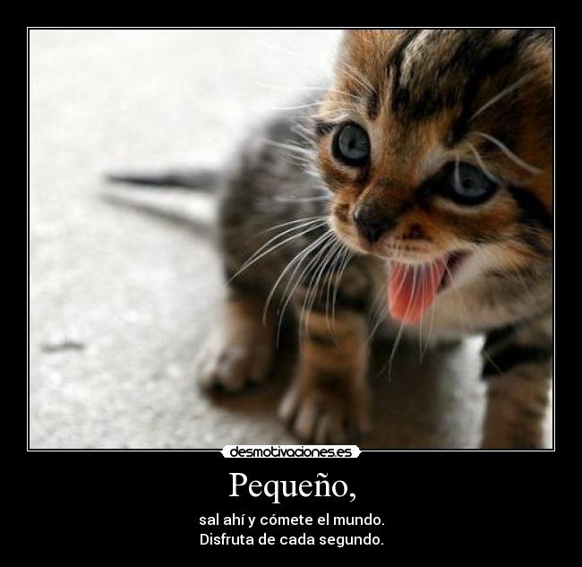 Pequeño, -