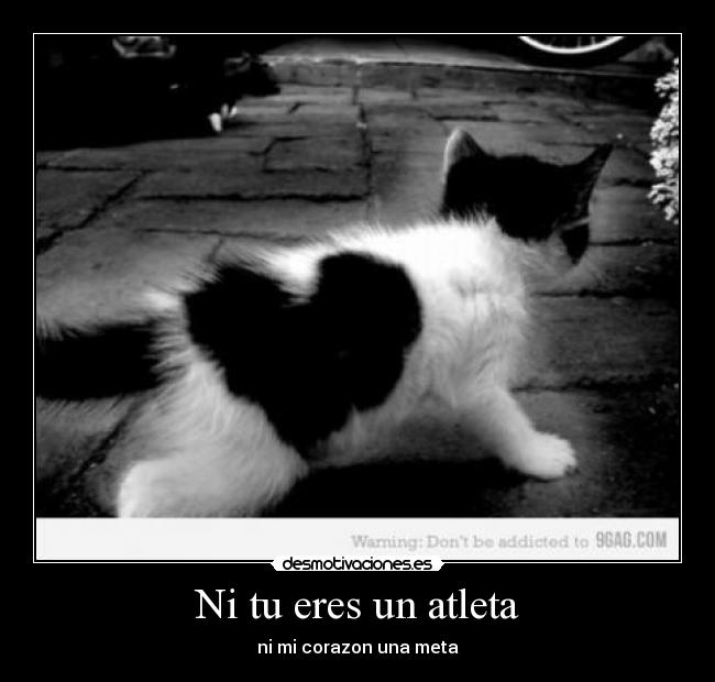 Ni tu eres un atleta -