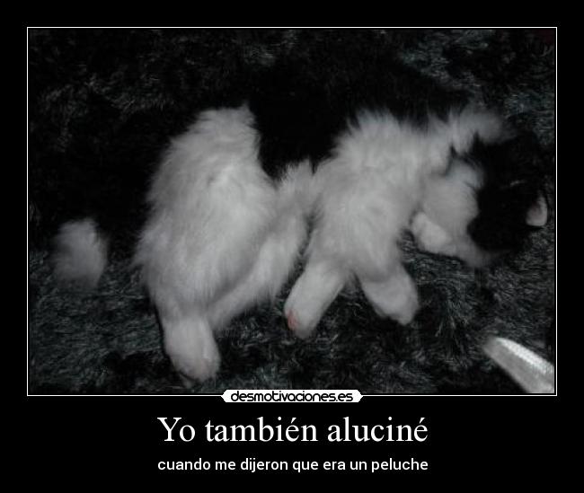 Yo también aluciné -