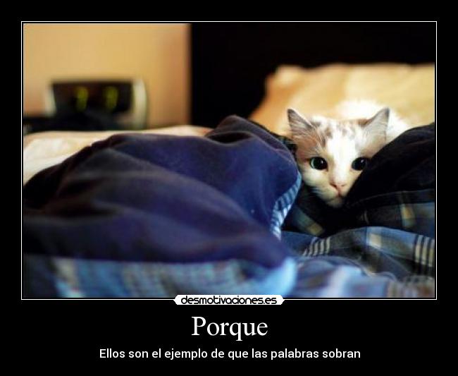 Porque - Ellos son el ejemplo de que las palabras sobran