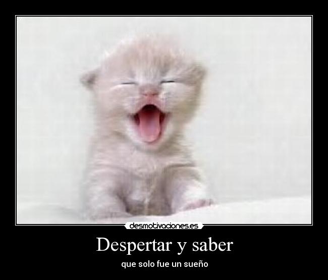 Despertar y saber - 