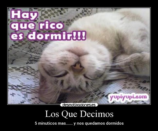 Los Que Decimos -
