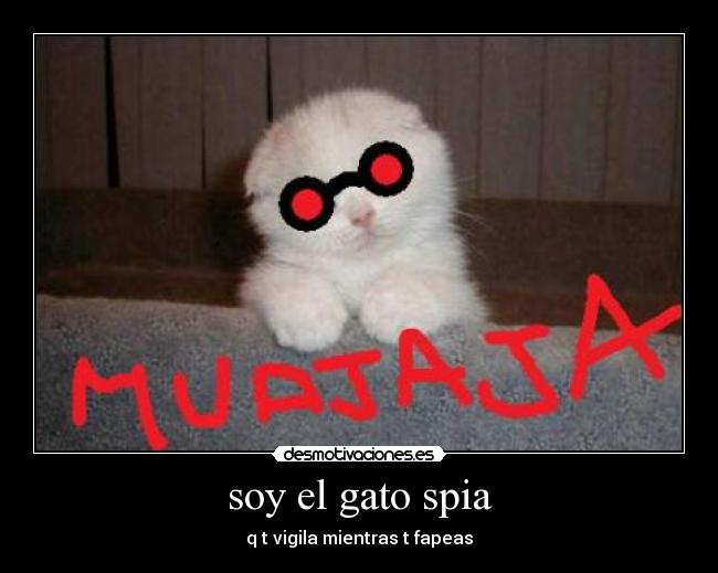 soy el gato spia - 