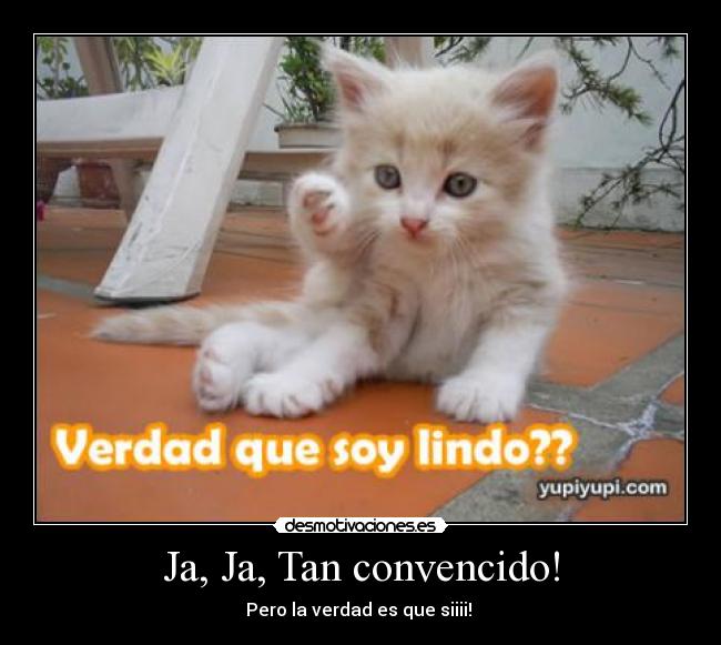 Ja, Ja, Tan convencido! - 