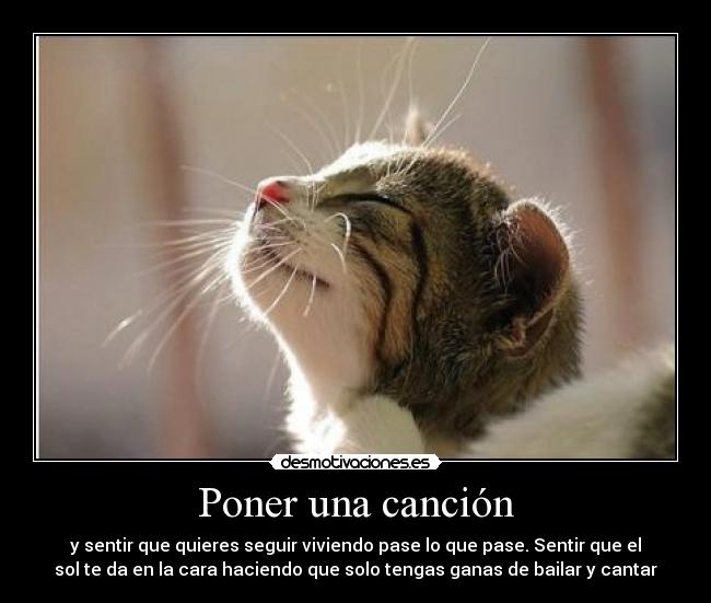 Poner una canción - y sentir que quieres seguir viviendo pase lo que pase. Sentir que el
sol te da en la cara haciendo que solo tengas ganas de bailar y cantar