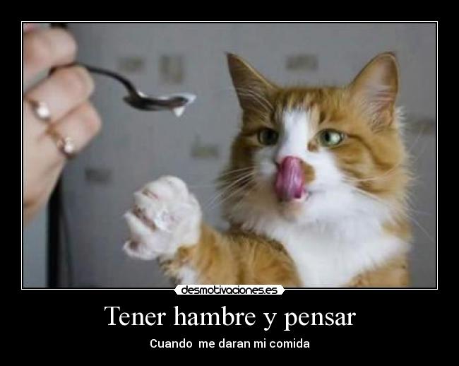 Tener hambre y pensar -