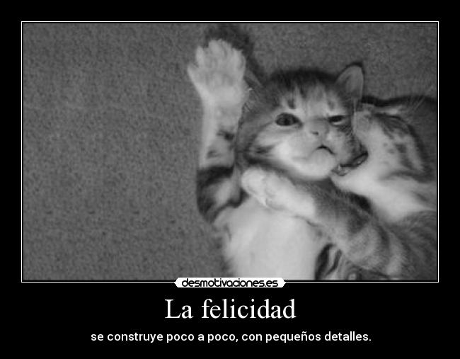 carteles felicidad me canse de poner etiquetas ahora pongo esta mierda desmotivaciones