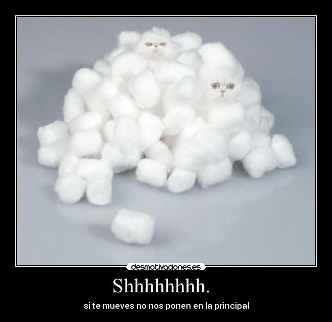 Shhhhhhhh. - si te mueves no nos ponen en la principal