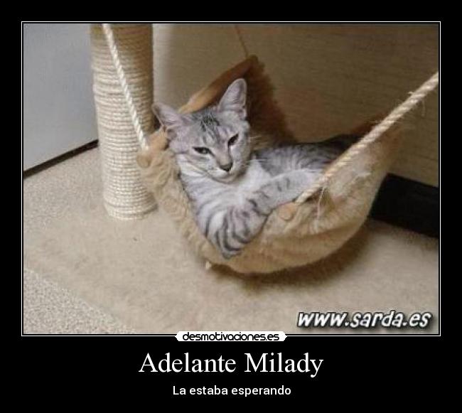 Adelante Milady -